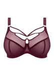 Sachi Plunge Bra - Cabernet