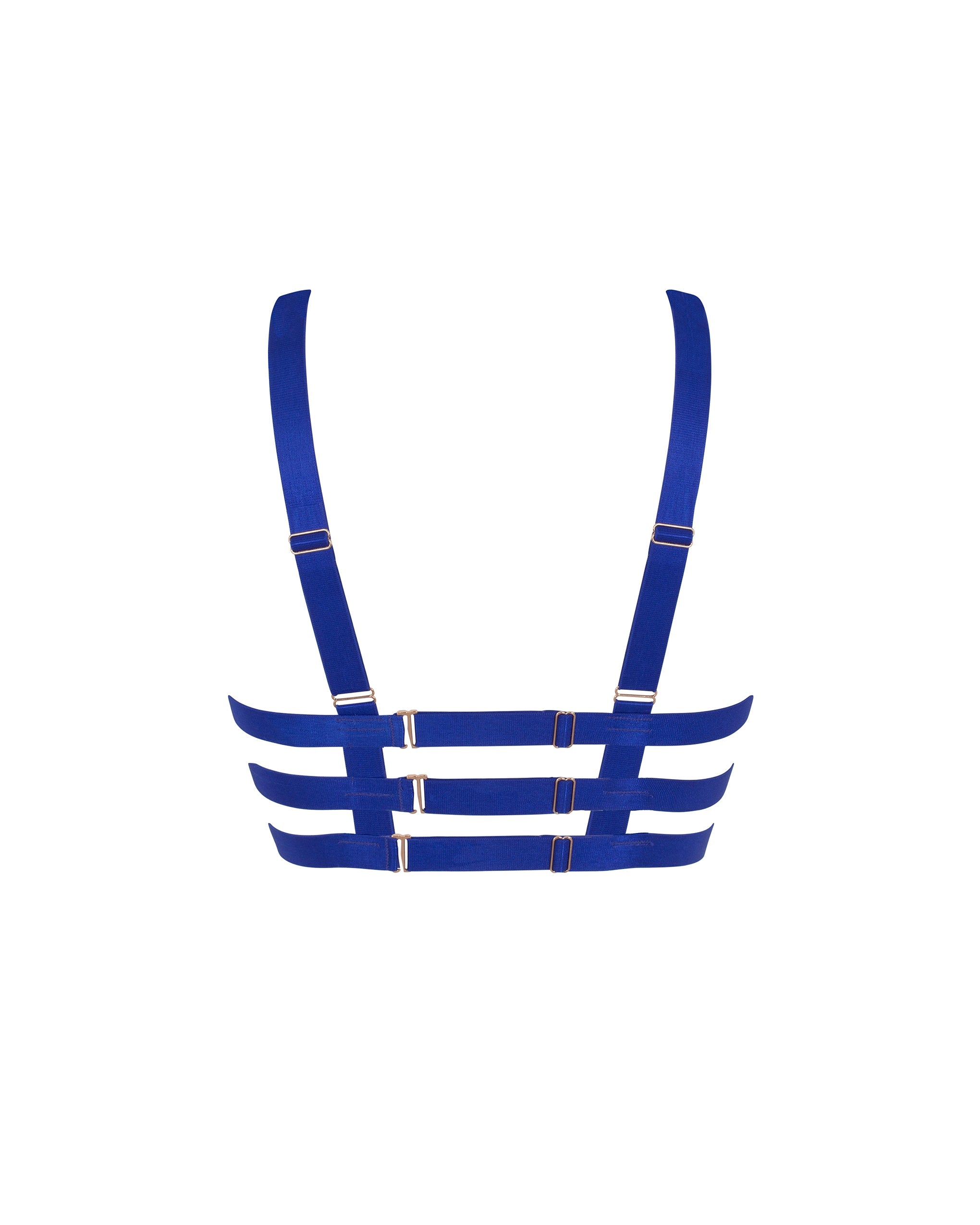 Miriam ECO Bra Surf the Web Blue