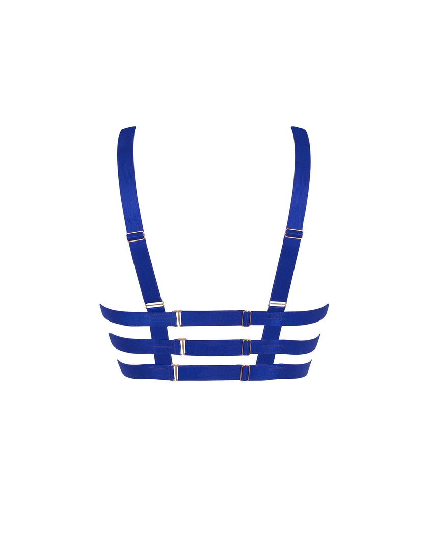 Miriam ECO Bra Surf the Web Blue