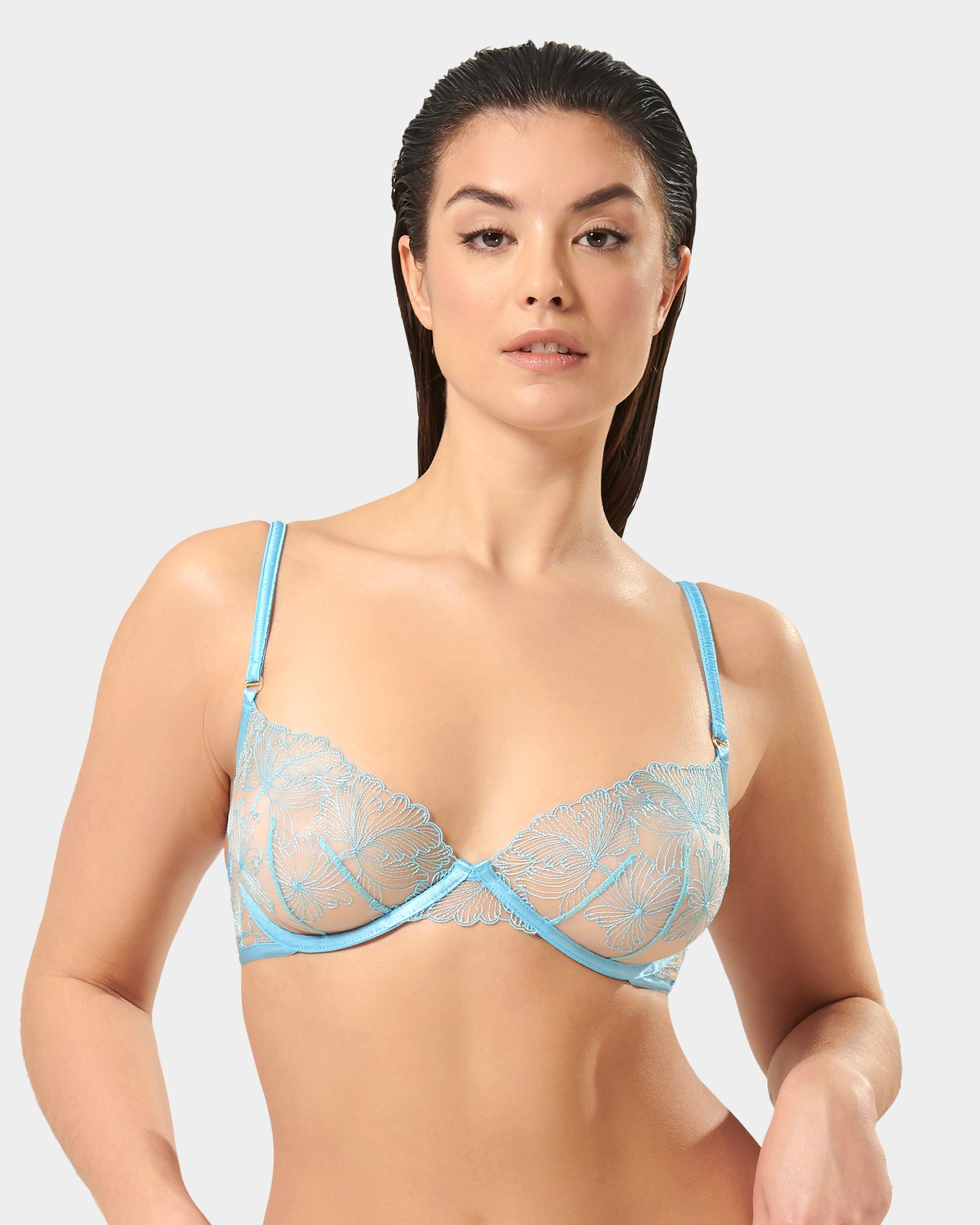 Alula Embroidered Sheer Bra Blue