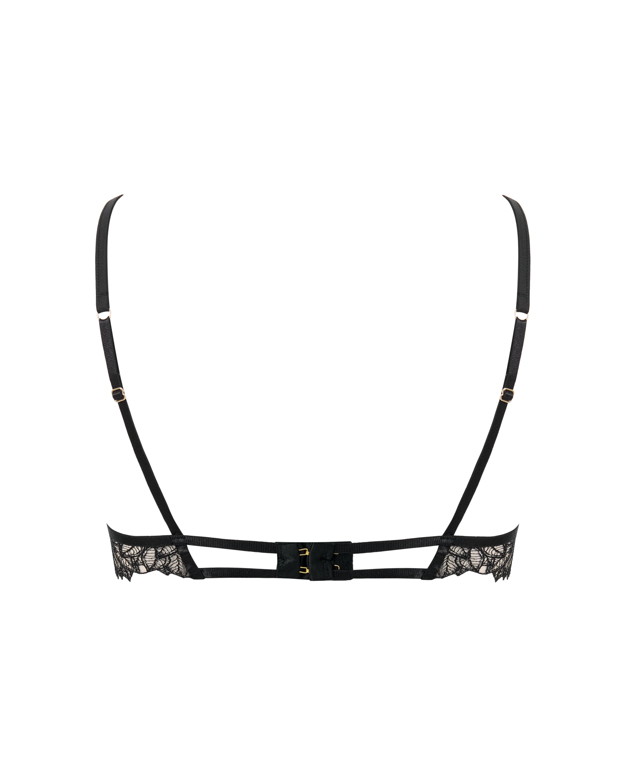 Inaya Sheer Floral Bra Black