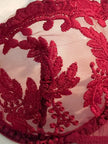 Lace Lingerie Set – Embroidered Bra & Panty